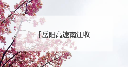 岳阳高速南江收费中心：端午温情传递暖人心